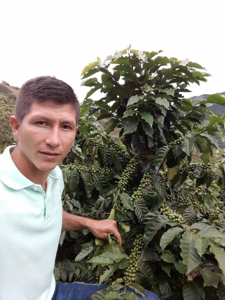 Le producteur de café vert Luís Carlos Guzmán