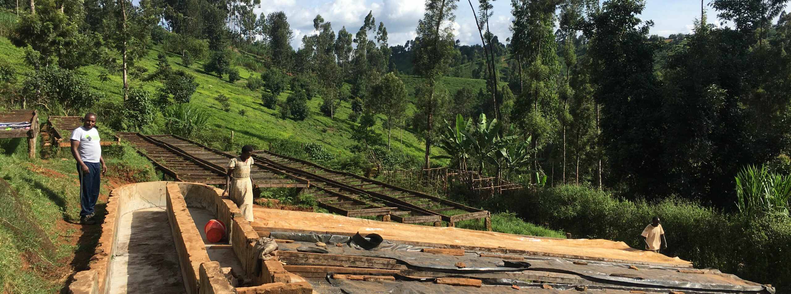 Geschenkte Farm im Kaffee-Ursprung Kenia