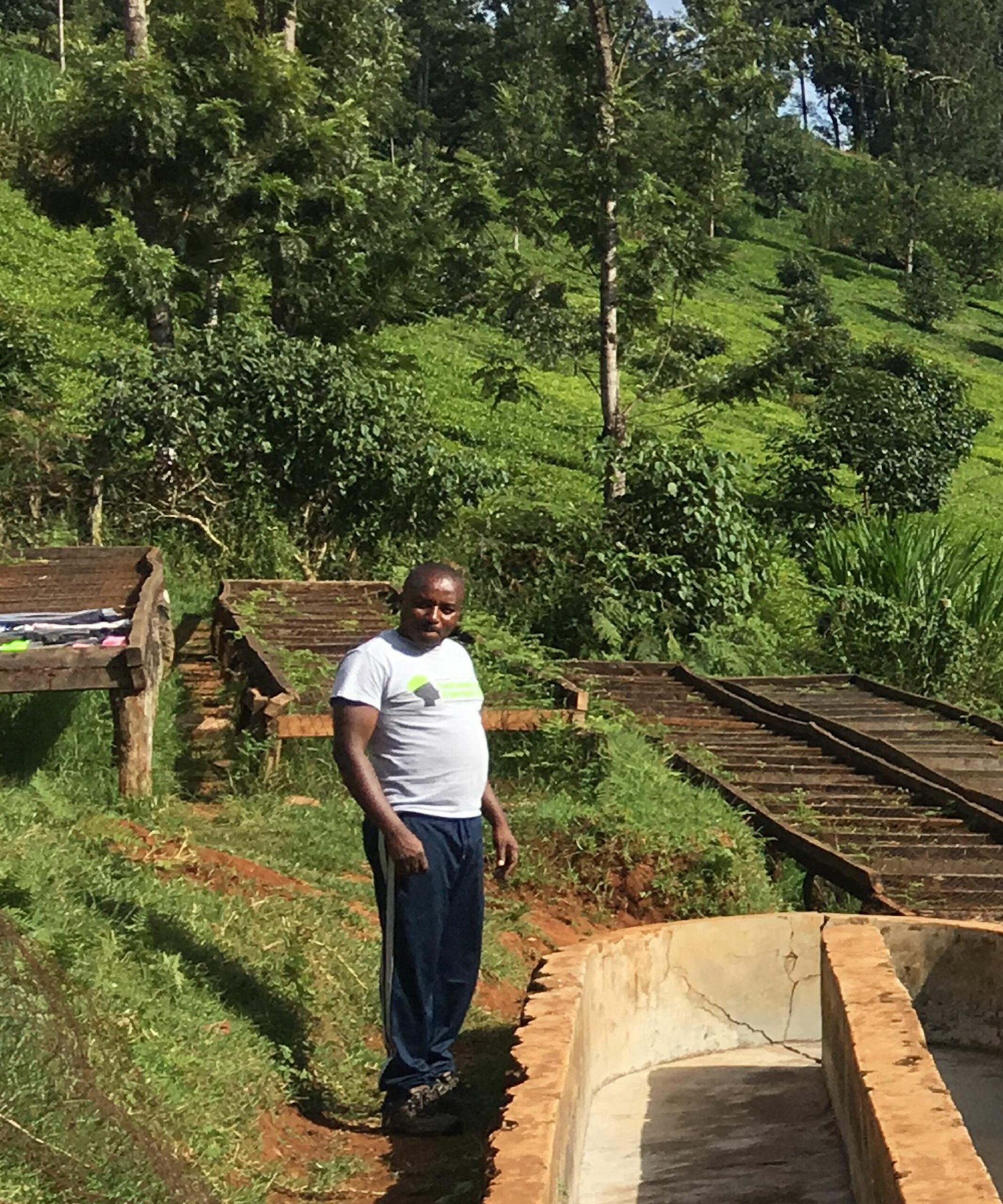 Productor de café verde Moses Kamura en su finca del origen cafetalero Kenia
