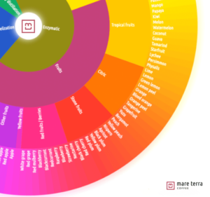 Notre roue des descripteurs