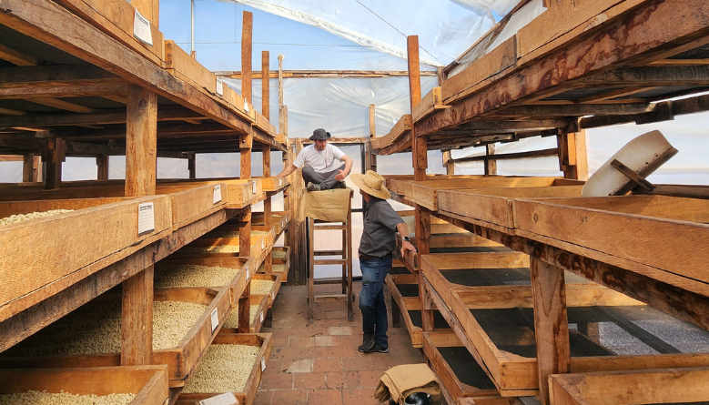 Farm Santa Rita- Patio for the drying of natural coffees