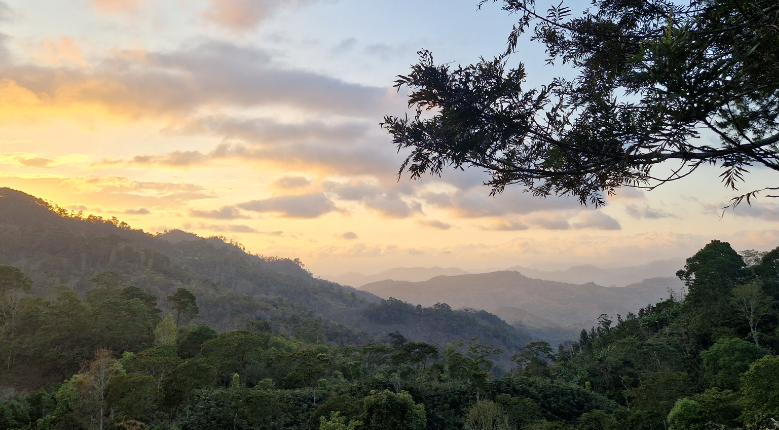 Views from Farm Cafetera in Honduras