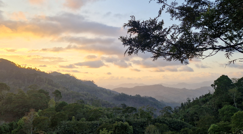 Vistas desde Finca Cafetera en Honduras