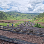 Rwanda 2023 Origin Trip