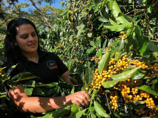 Laa productora de cafe de Honduras, Glenda Yanira Fuentes