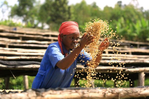 Mujer en la estación cafetalera de Gaseke en Ruanda