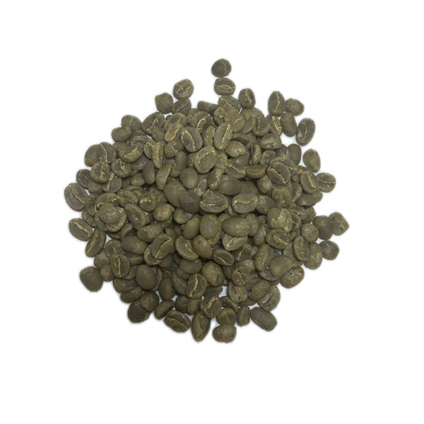 Caffau FES