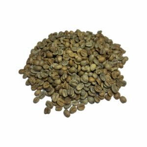 Vega ACdA