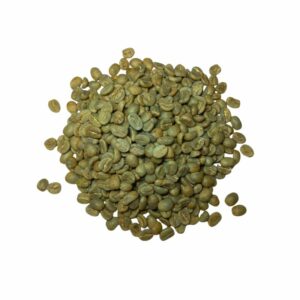 Tumaini